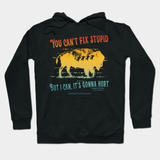 You Can't Fix Stupid But I Can Hoodie